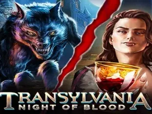 Transylvania Night Of Blood game icon